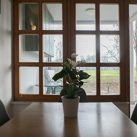 Apartma Spelca Banovci Exteriör bild
